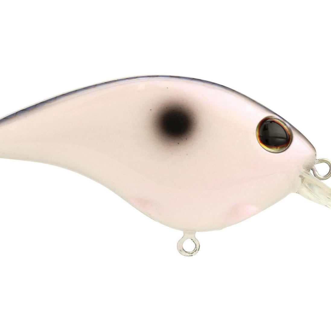 Berkley Frittside 5 Junior Kentucky Blue