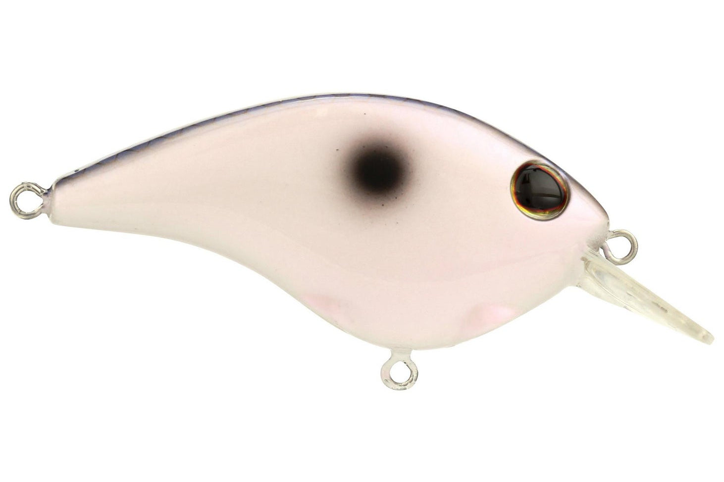 Berkley Frittside 5 Junior Kentucky Blue