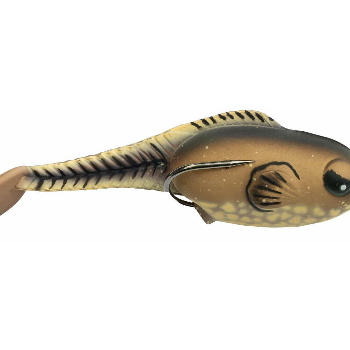 Snag Proof Zoo Wake Bull Frog Tadpole