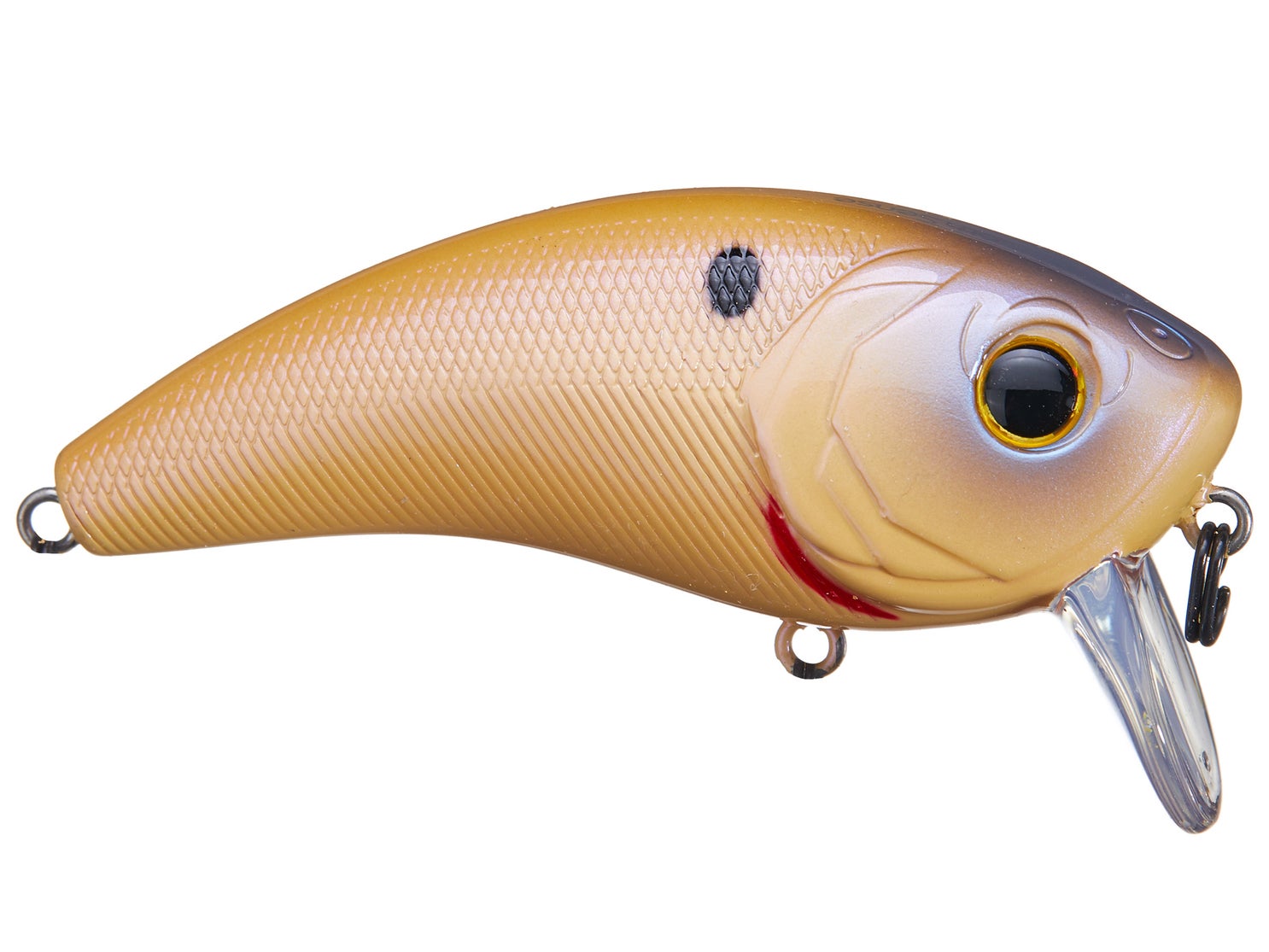 6th Sense Movement 80 Wake Bone Reactor