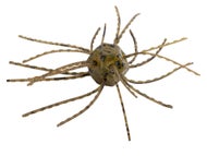 Strike King Tumbleweed Salted Green Pumpkin