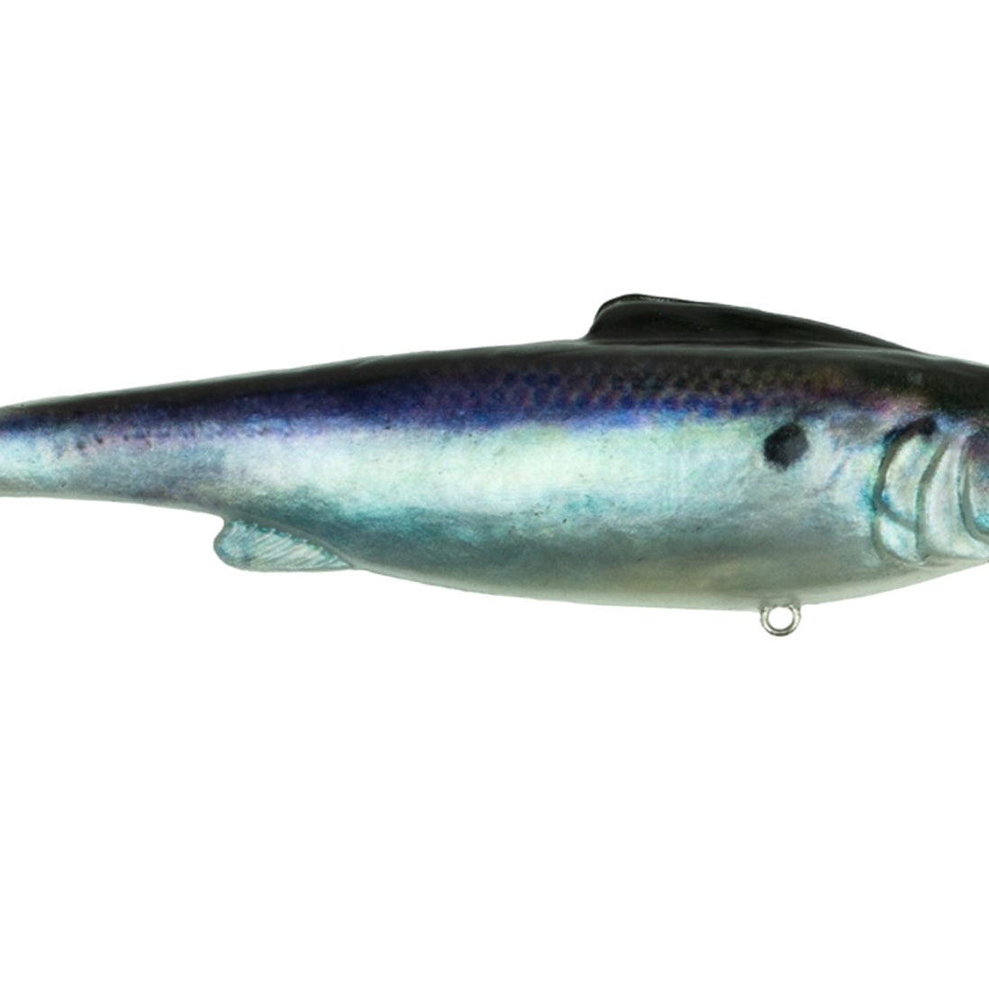 6th Sense Hangover Live Gizzard