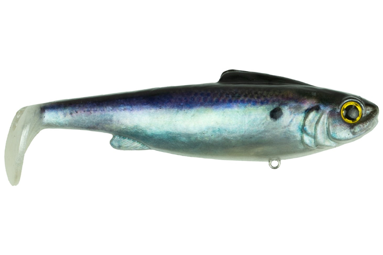 6th Sense Hangover Live Gizzard