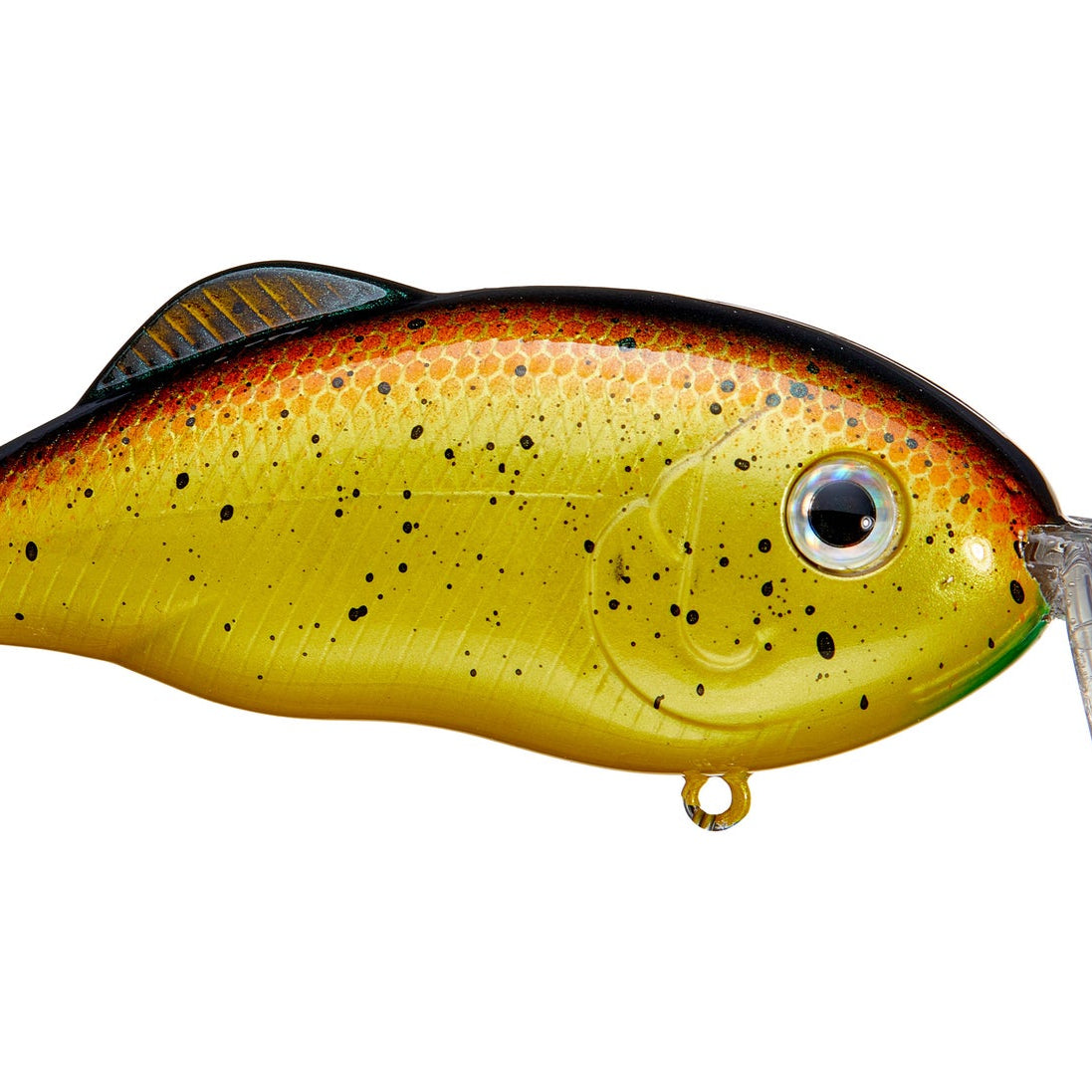 Strike King Hybrid Hunter Bully