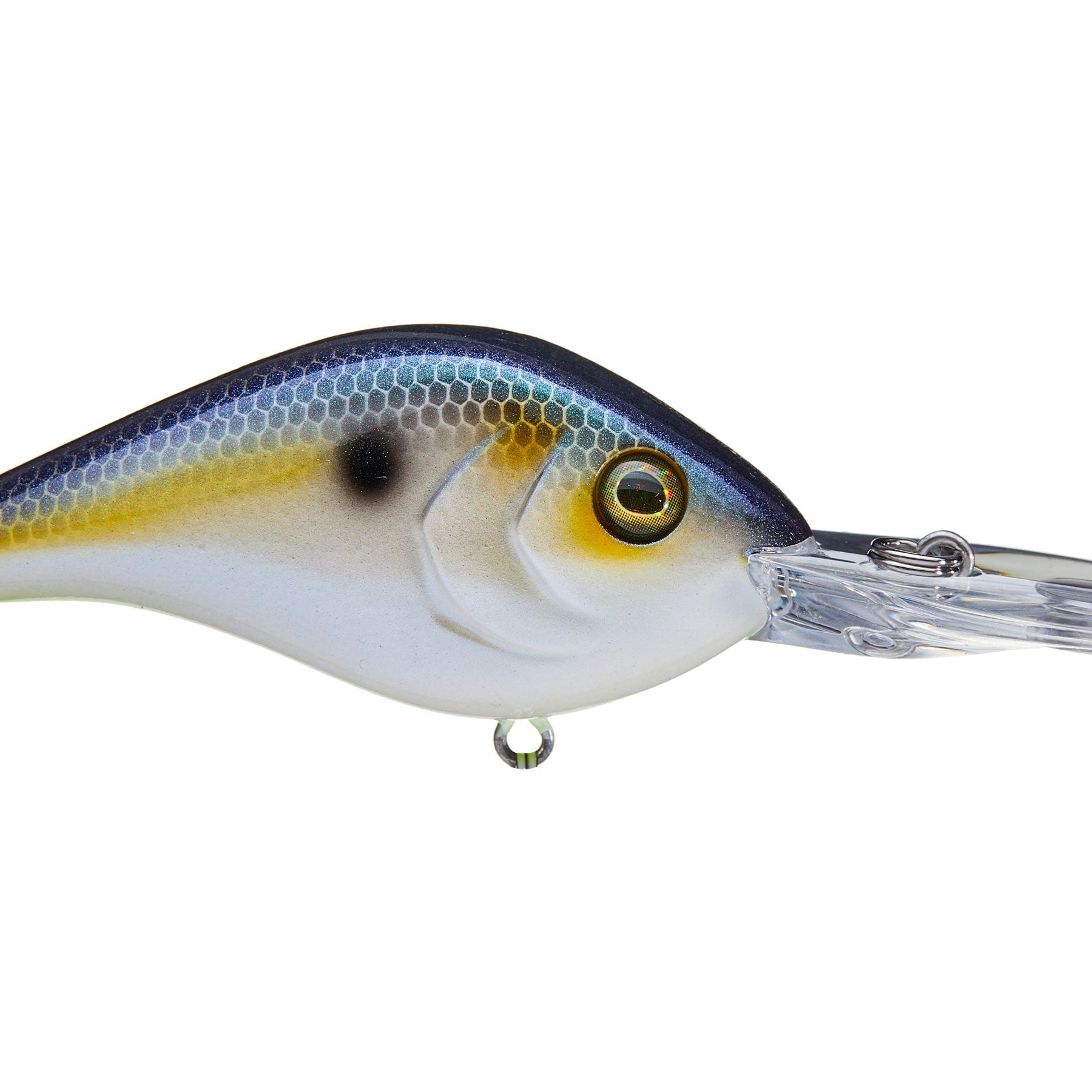 Berkley Dredger 14.5 Crankbaits Chameleon Pearl
