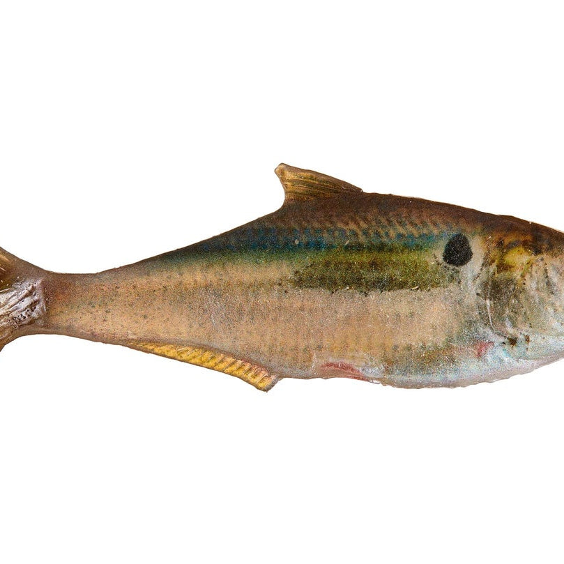 True Bass Texas Shad Line Through Swimbaits 6" Threadfin