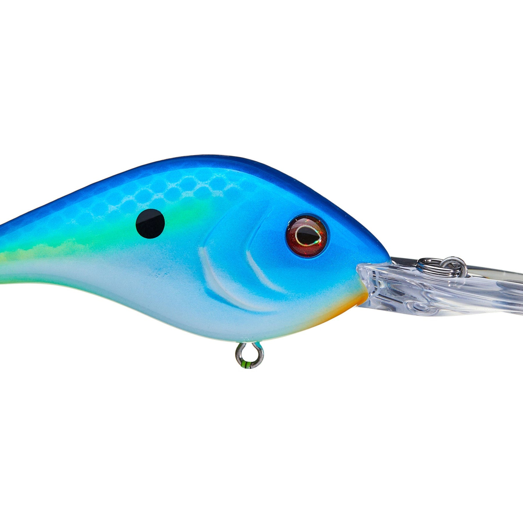 Berkley Dredger 20.5 Crankbaits Big Money