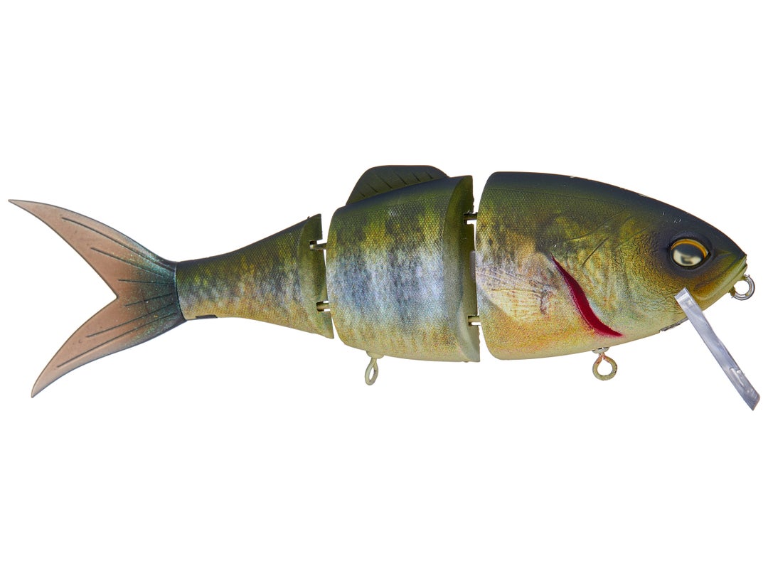 Geecrack Bellows Shad Floating Elastomer