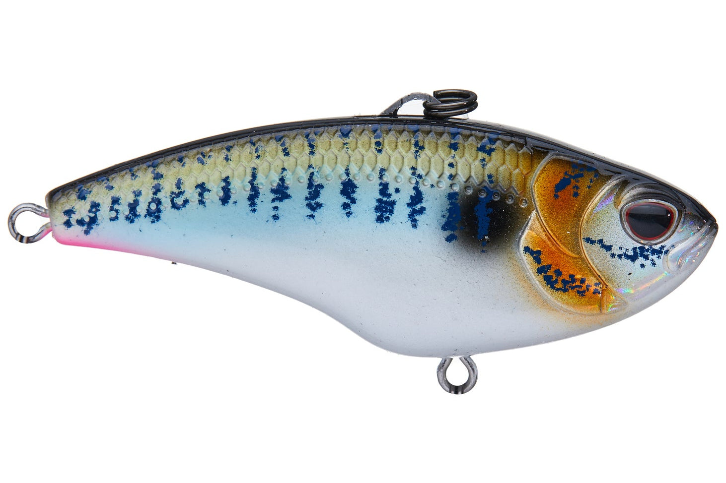 Nomad Design Swimtrex Max Lipless Crankbait Threadfin Shad