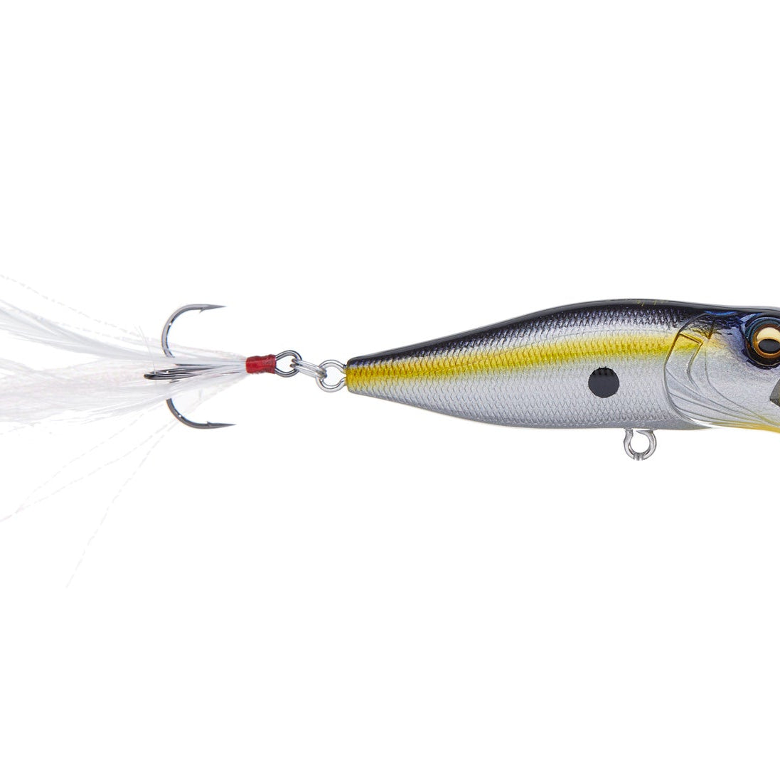 Megabass Pop-X Megabass Sexy Shad