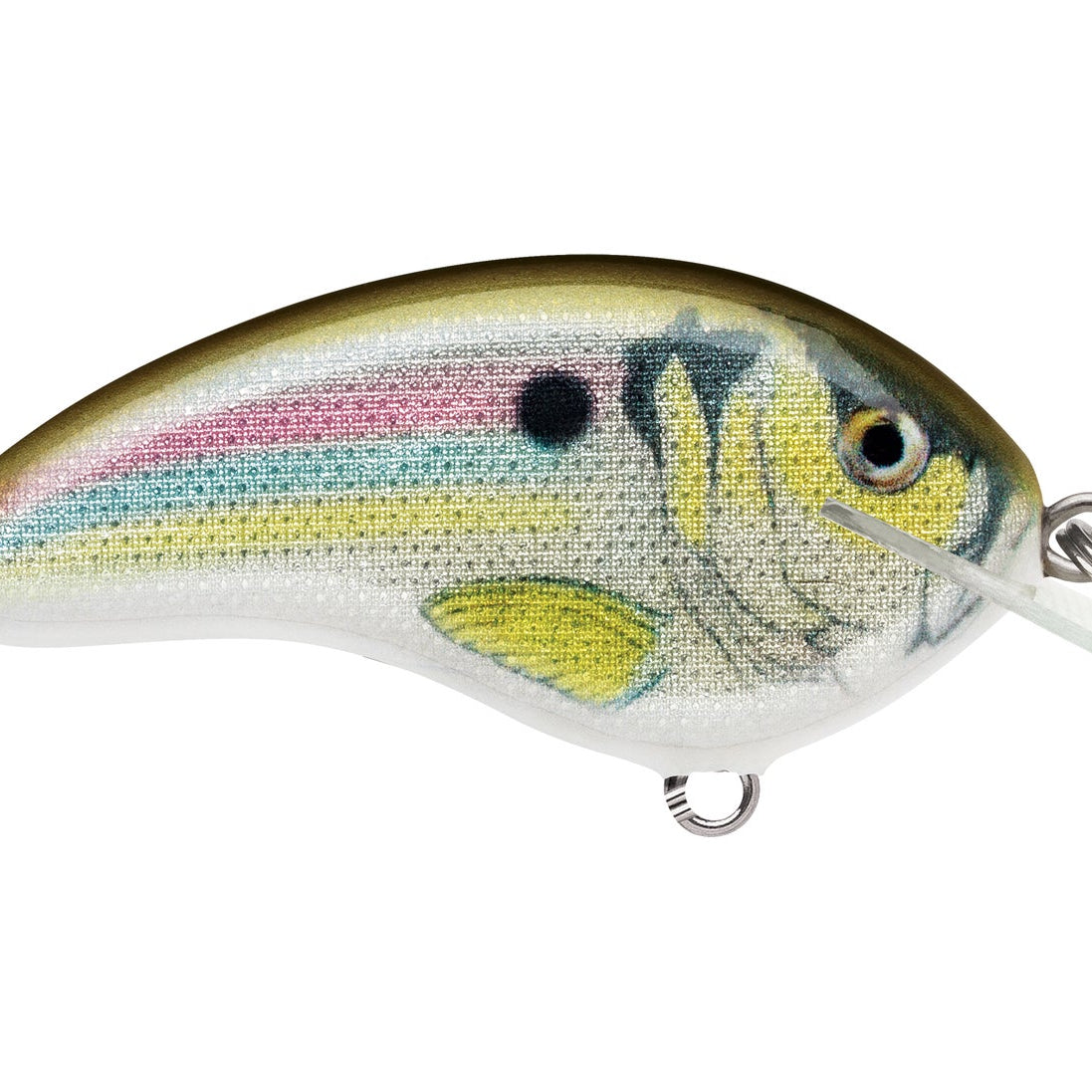 Rapala Ott’s Garage Tiny 4 Crankbait Liver River Shiner (D)
