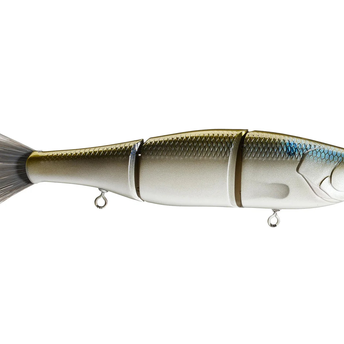 6th Sense Speed Draw 5.5 Live Blueback Herring