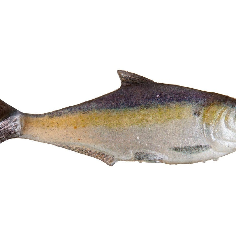 True Bass Texas Shad Line Through Swimbaits 6" Blueback