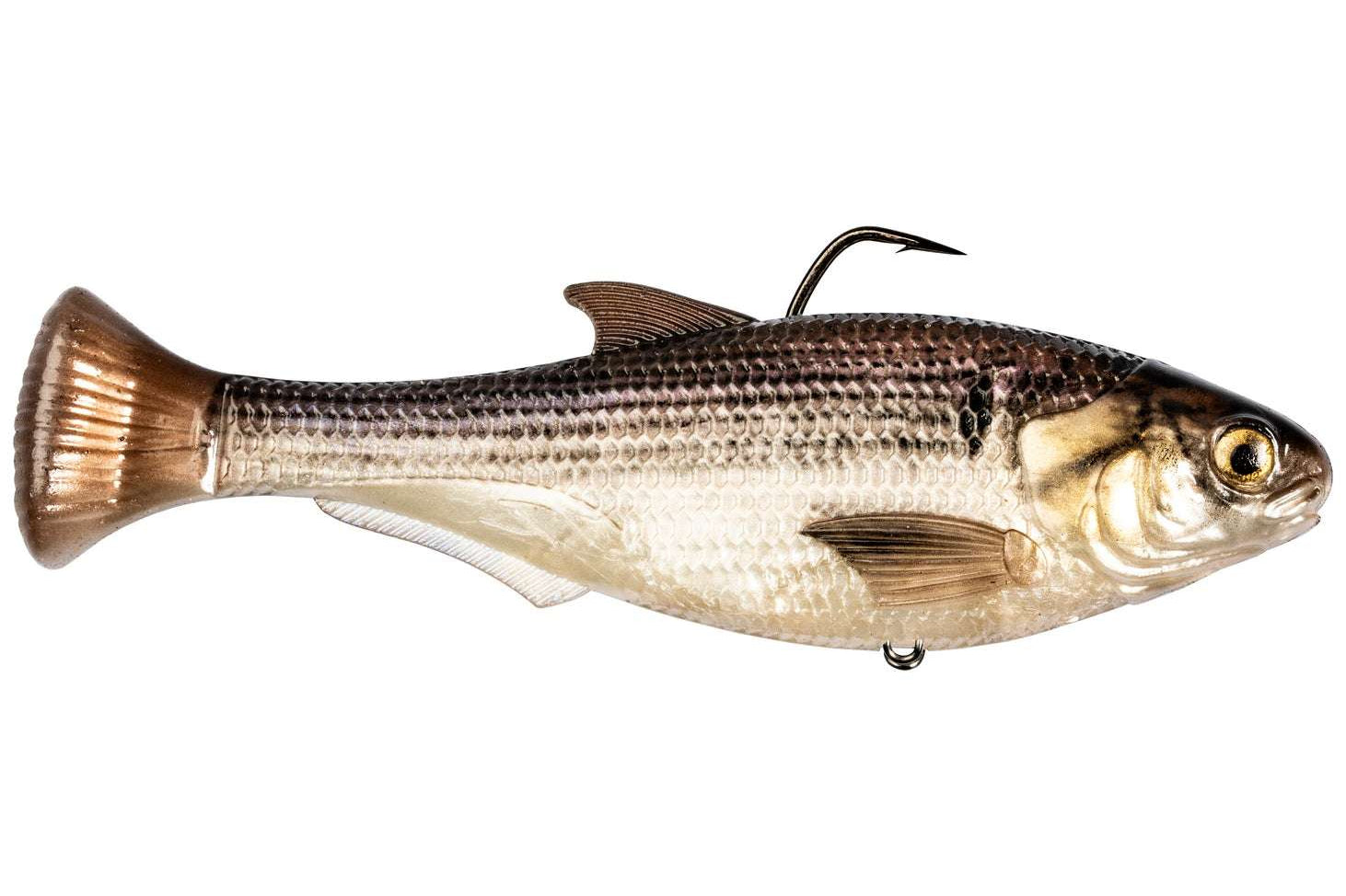 Z-Man Shadtron LT Swimbait Gizzard Shad