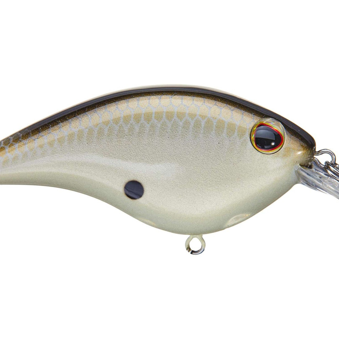 Berkley Frittside 5 Junior Honey Shad