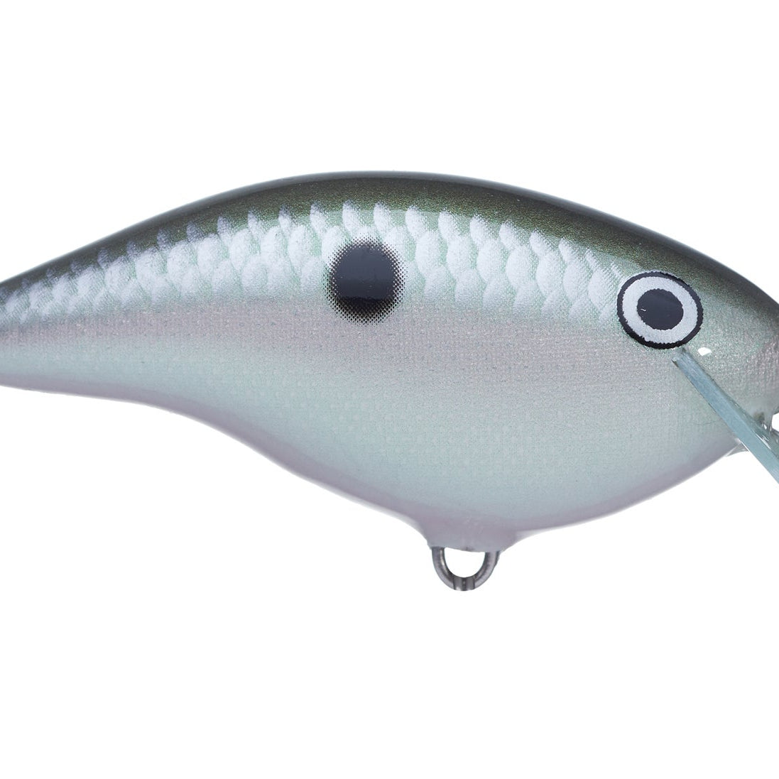 Rapala Ott’s Garage OG Rocco 5 Crankbait Green Gizzard Shad