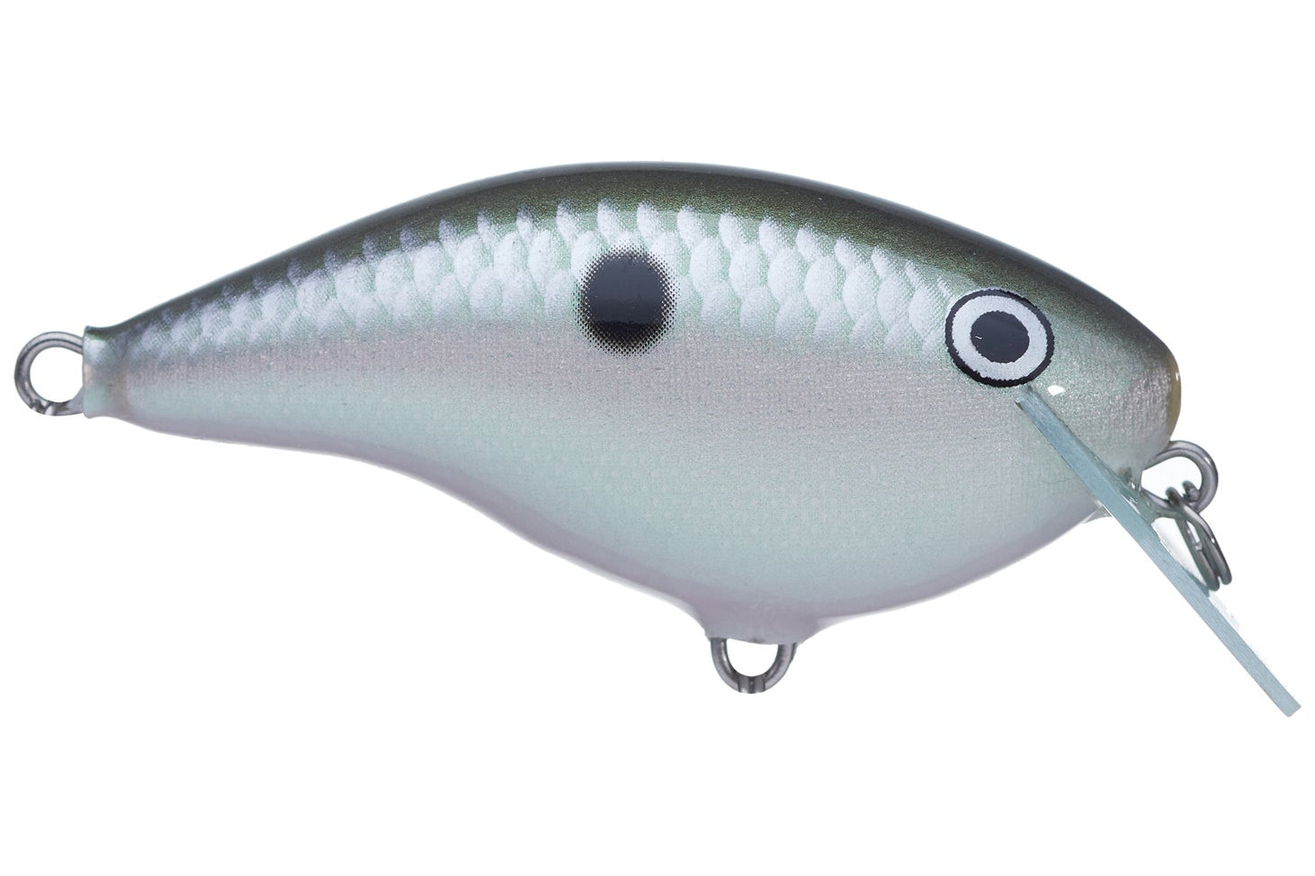 Rapala Ott’s Garage OG Rocco 5 Crankbait Green Gizzard Shad