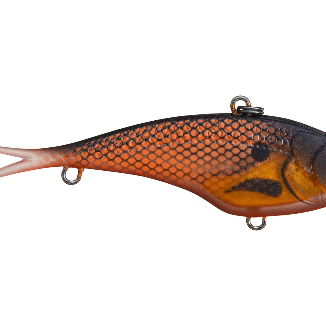 Nomad Design Vertrex Lipless Crankbait 4 5oz Gold Black Back