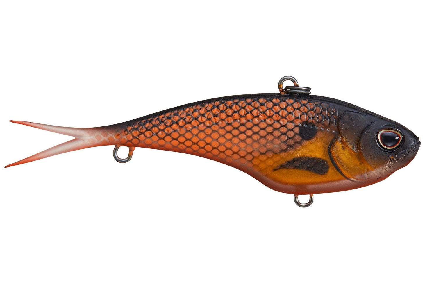 Nomad Design Vertrex Lipless Crankbait 4 5oz Gold Black Back