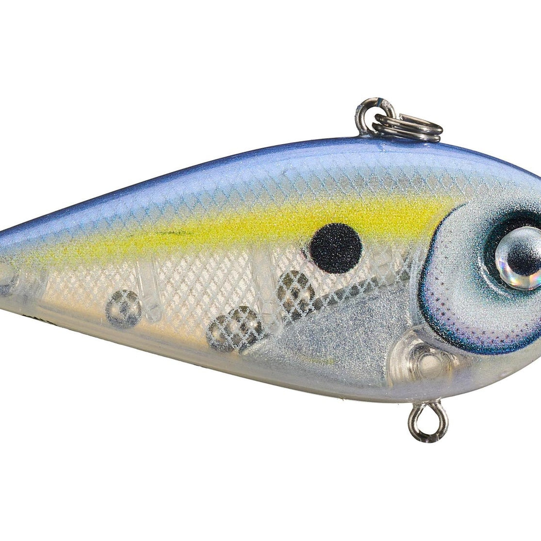 Rapala Snare 50 Lipless Crankbait Ghost Sexy Shad