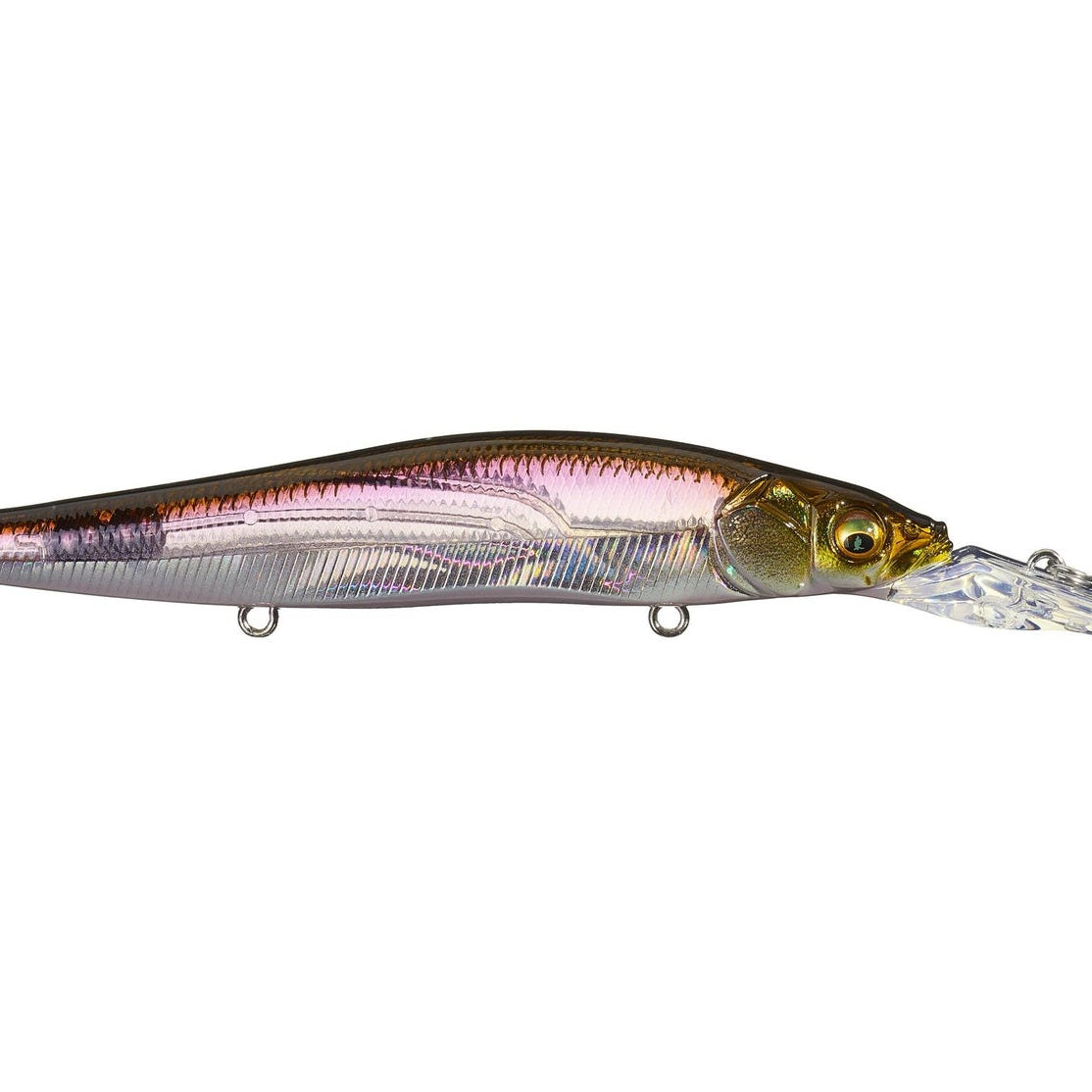 Megabass Vision 110 + 2 HT Hakone Wakasagi