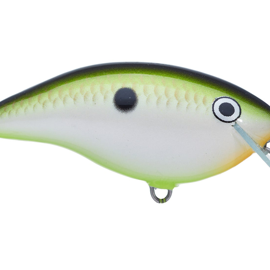 Rapala Ott’s Garage OG Rocco 5 Crankbait Bruised Citrus Shad