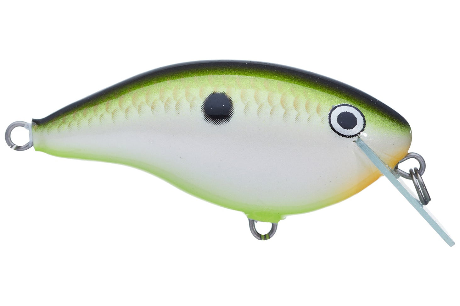 Rapala Ott’s Garage OG Rocco 5 Crankbait Bruised Citrus Shad