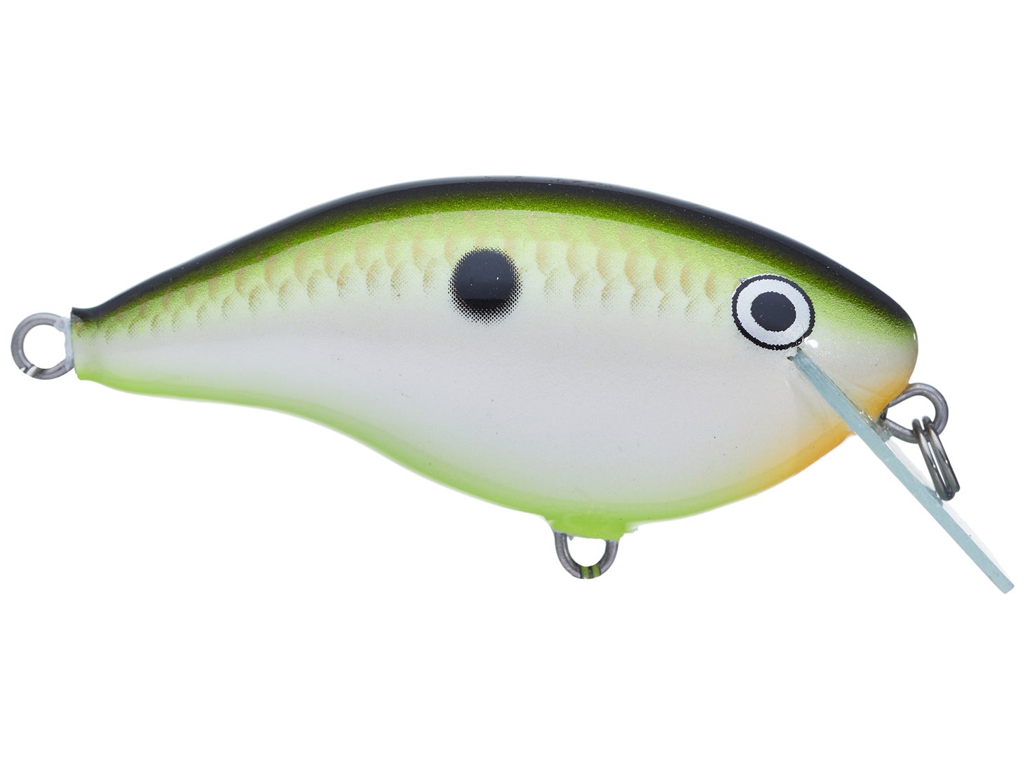 Rapala Ott’s Garage OG Rocco 5 Crankbait Bruised Citrus Shad