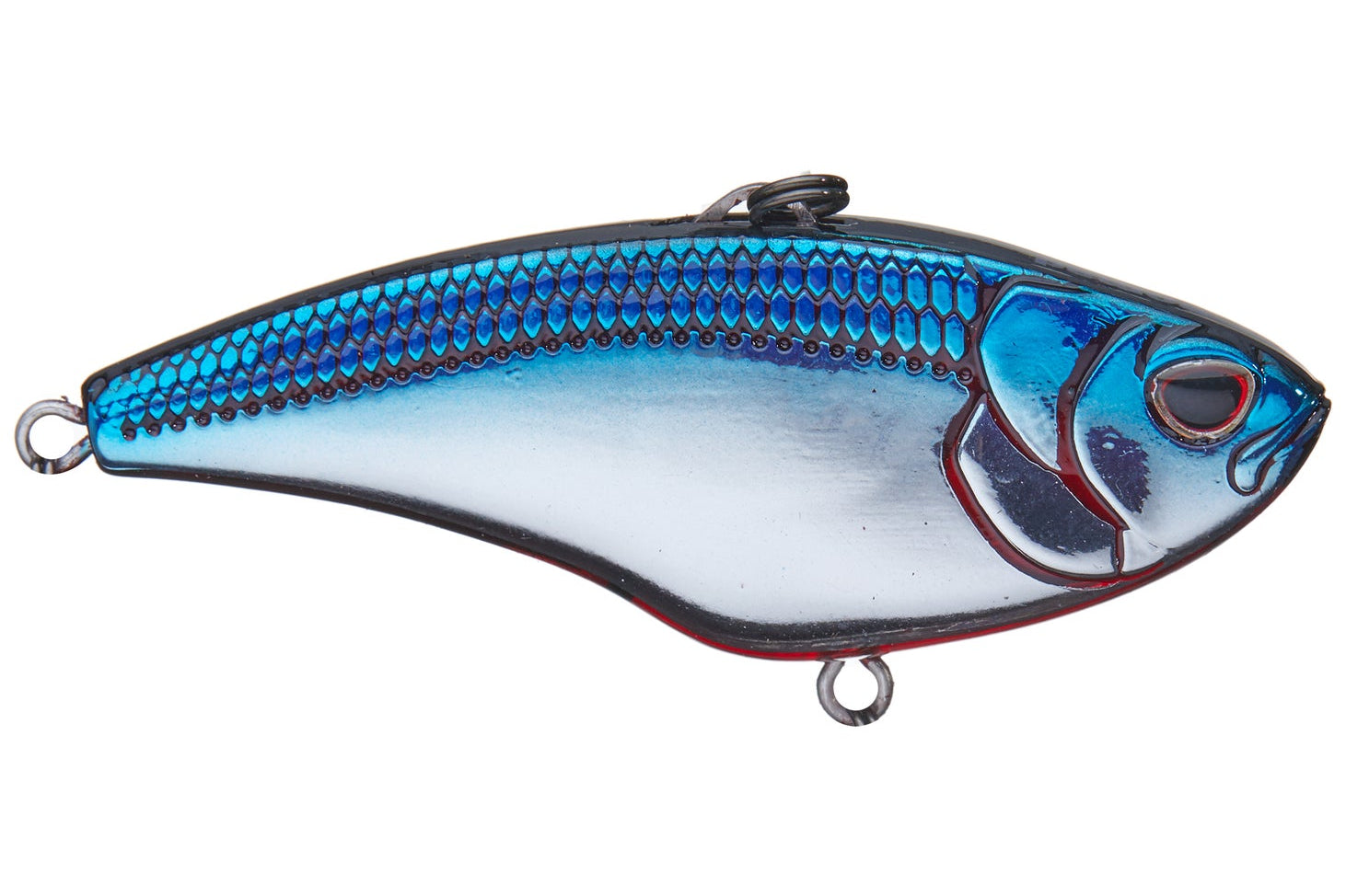 Nomad Design Swimtrex Max Lipless Crankbait Blue Back Chrome
