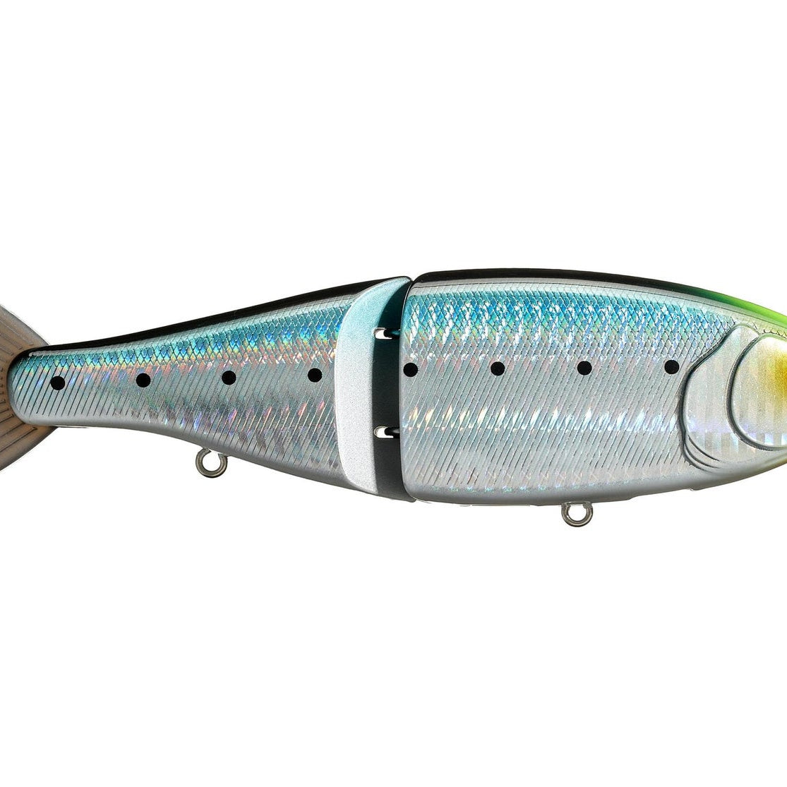 Swimbait Republic Glideway 176 Glide Bait JDM Sardine #18