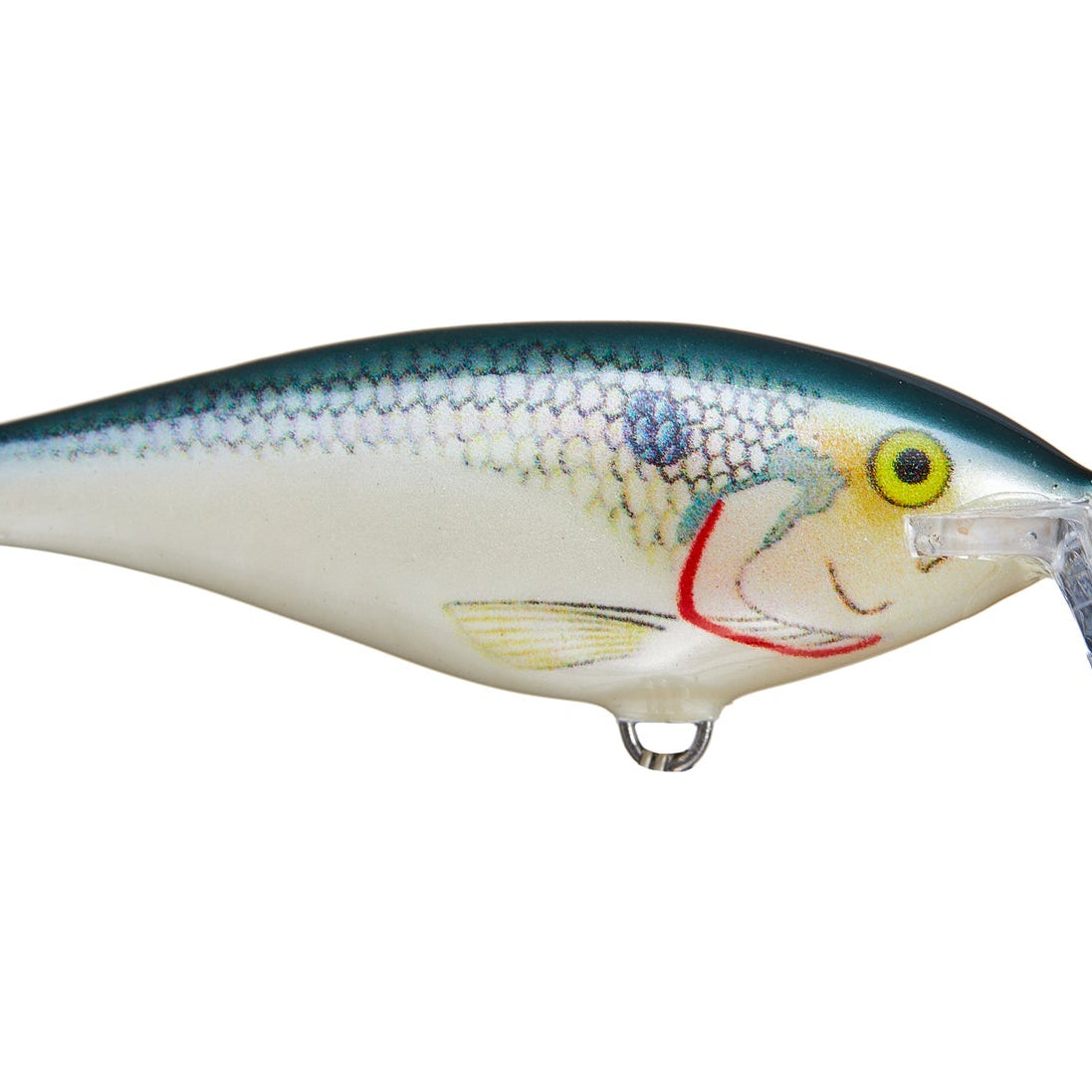 Rapala Shallow Shad Rap 05 Shad