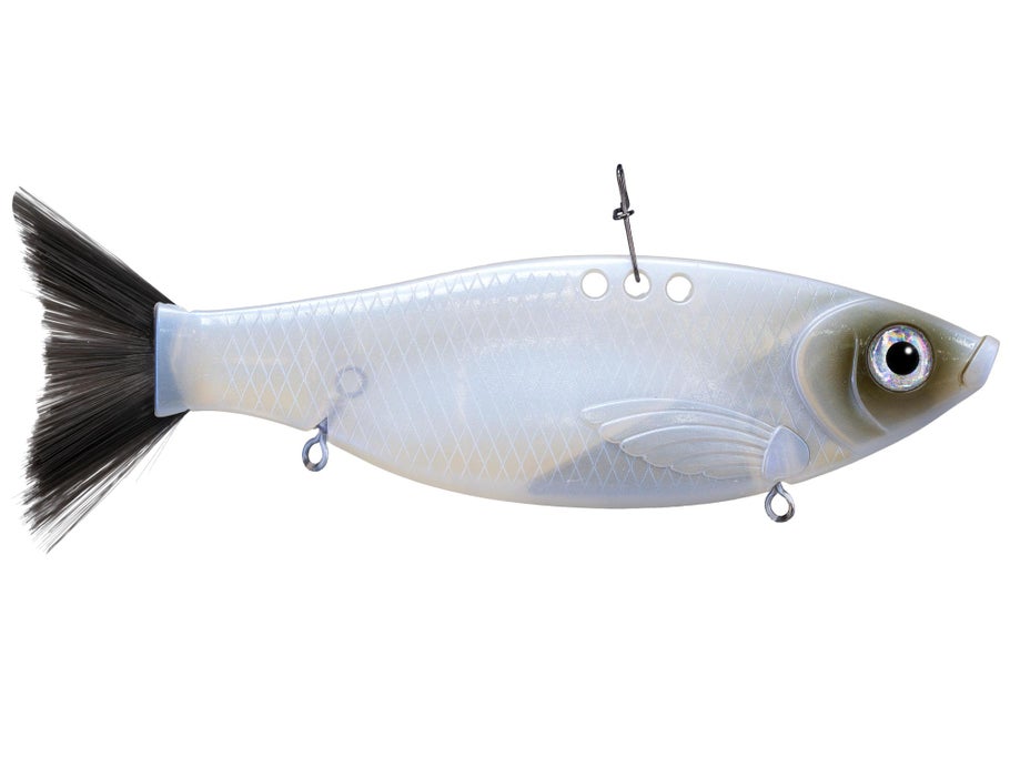 Bill Lewis Big Gizz Cajun Pearl