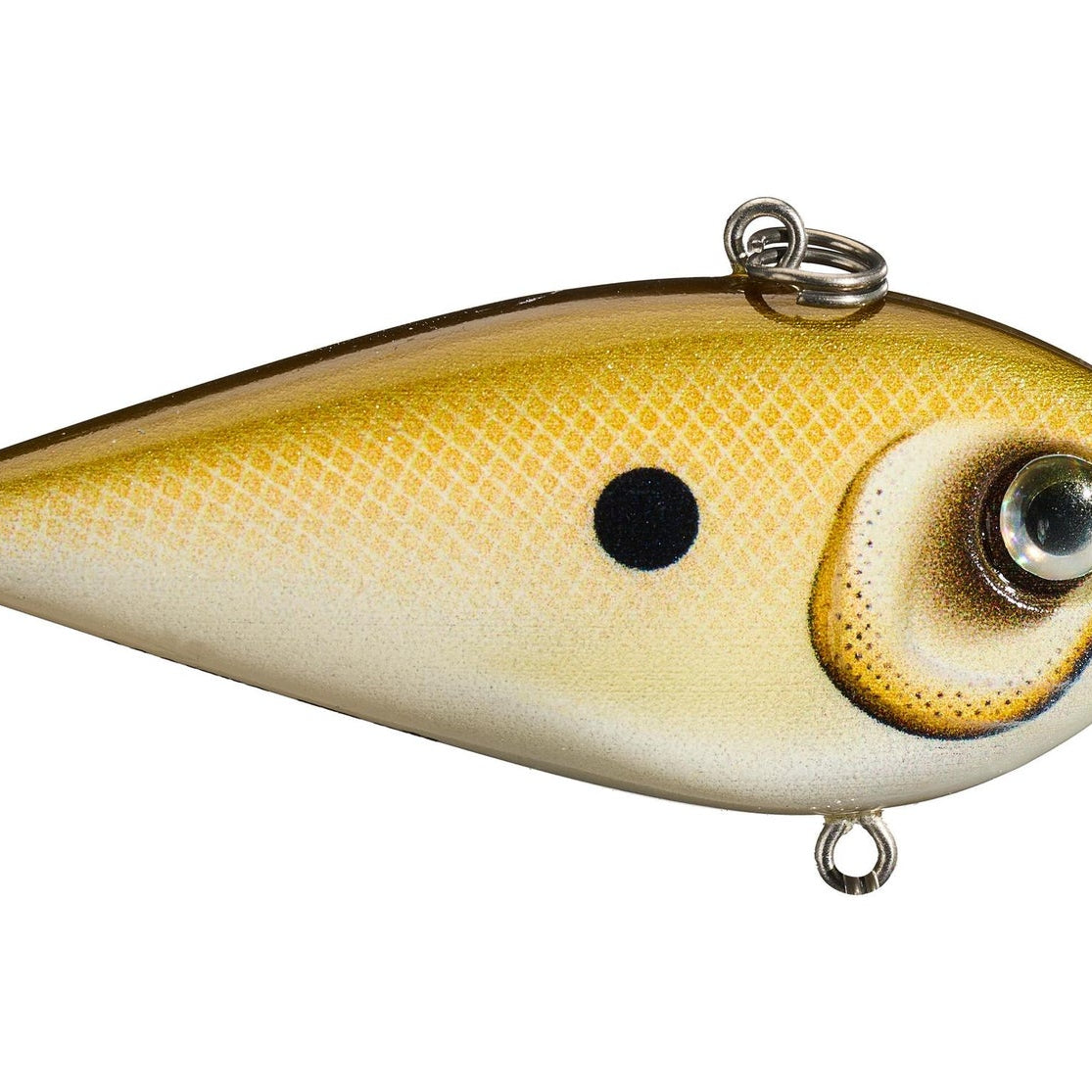 Rapala Snare 50 Lipless Crankbait Lemon Shad