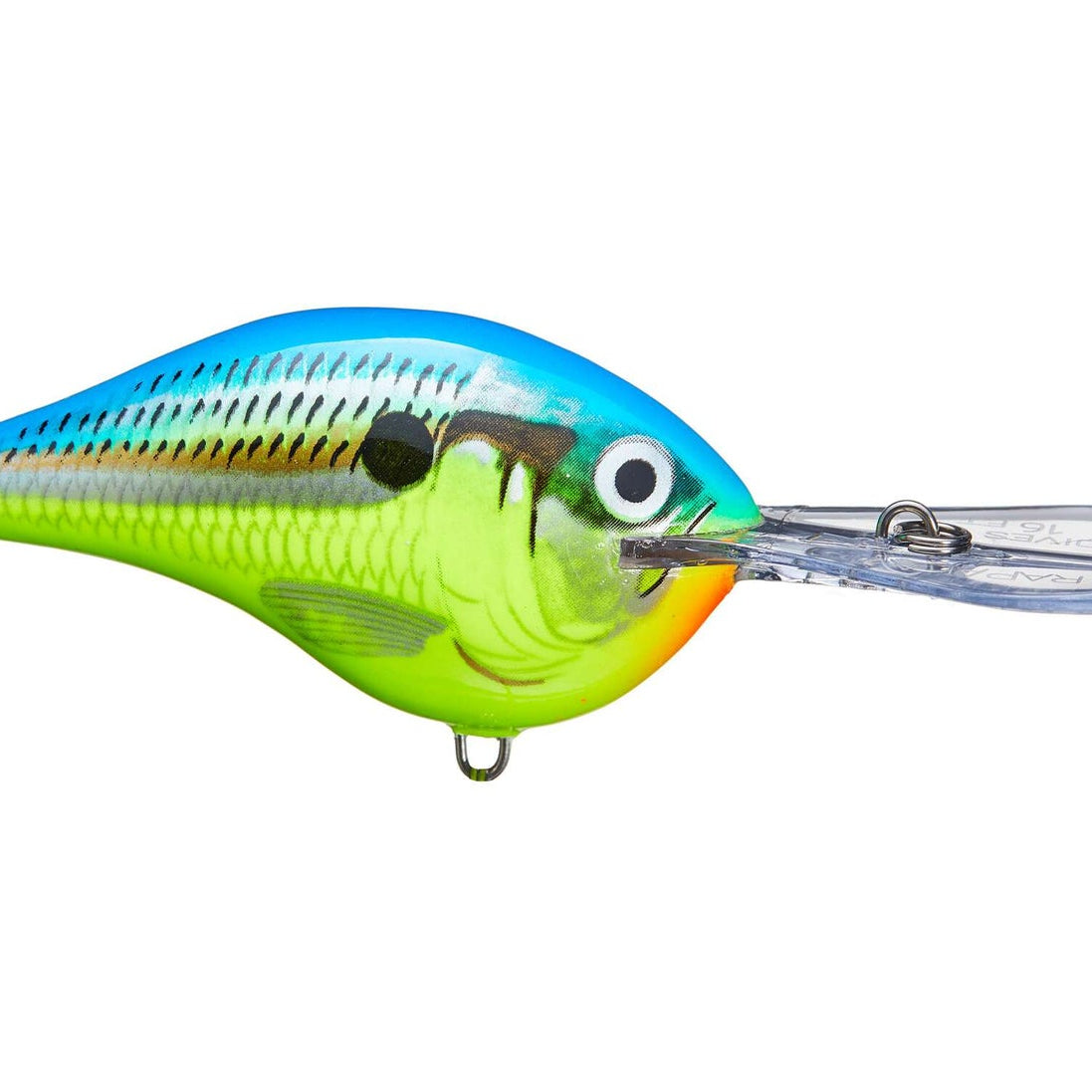 Rapala DT-16 Parrot