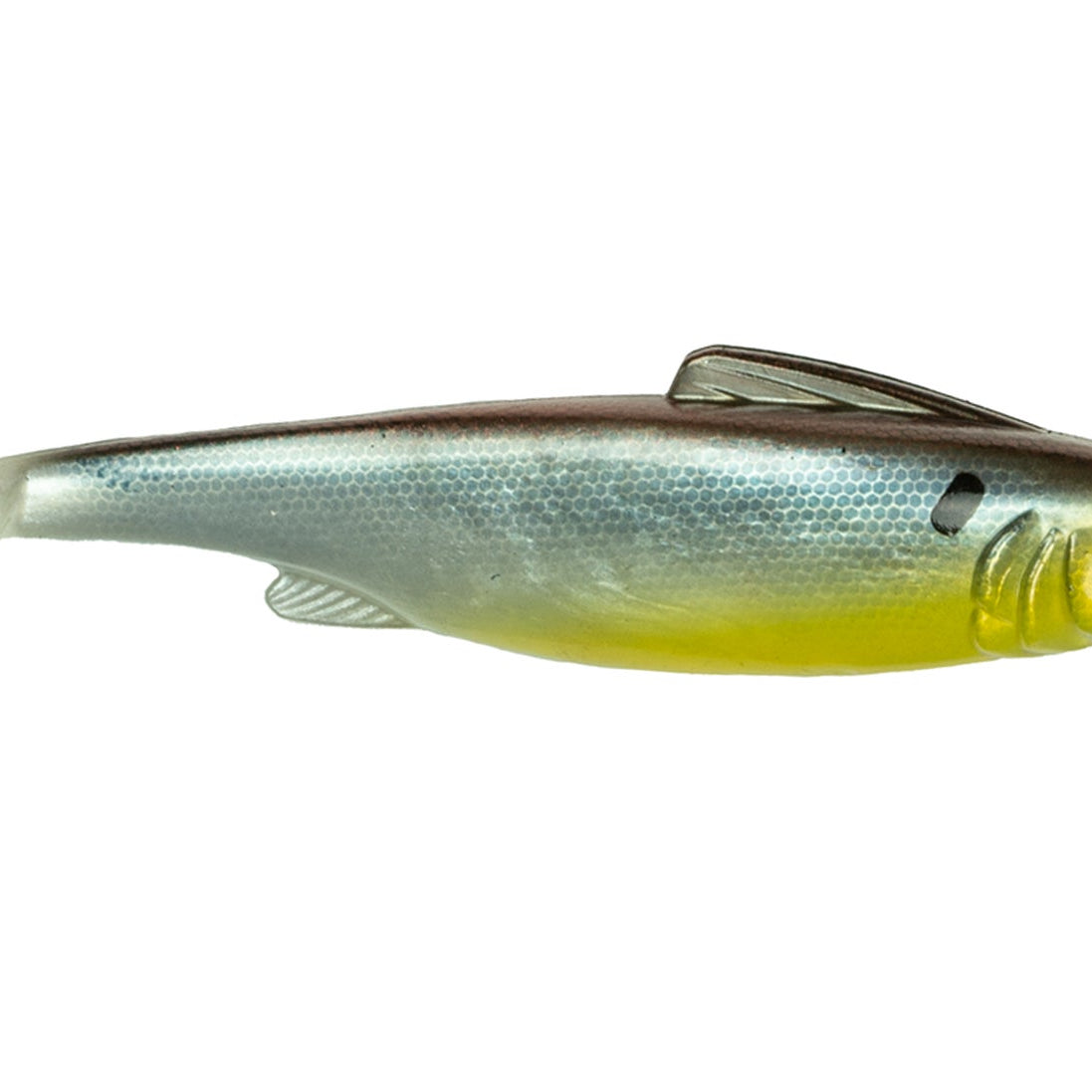 6th Sense Hangover Barfish