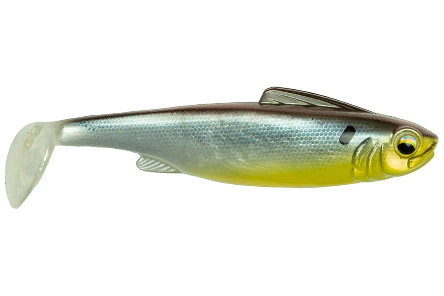 6th Sense Hangover Barfish