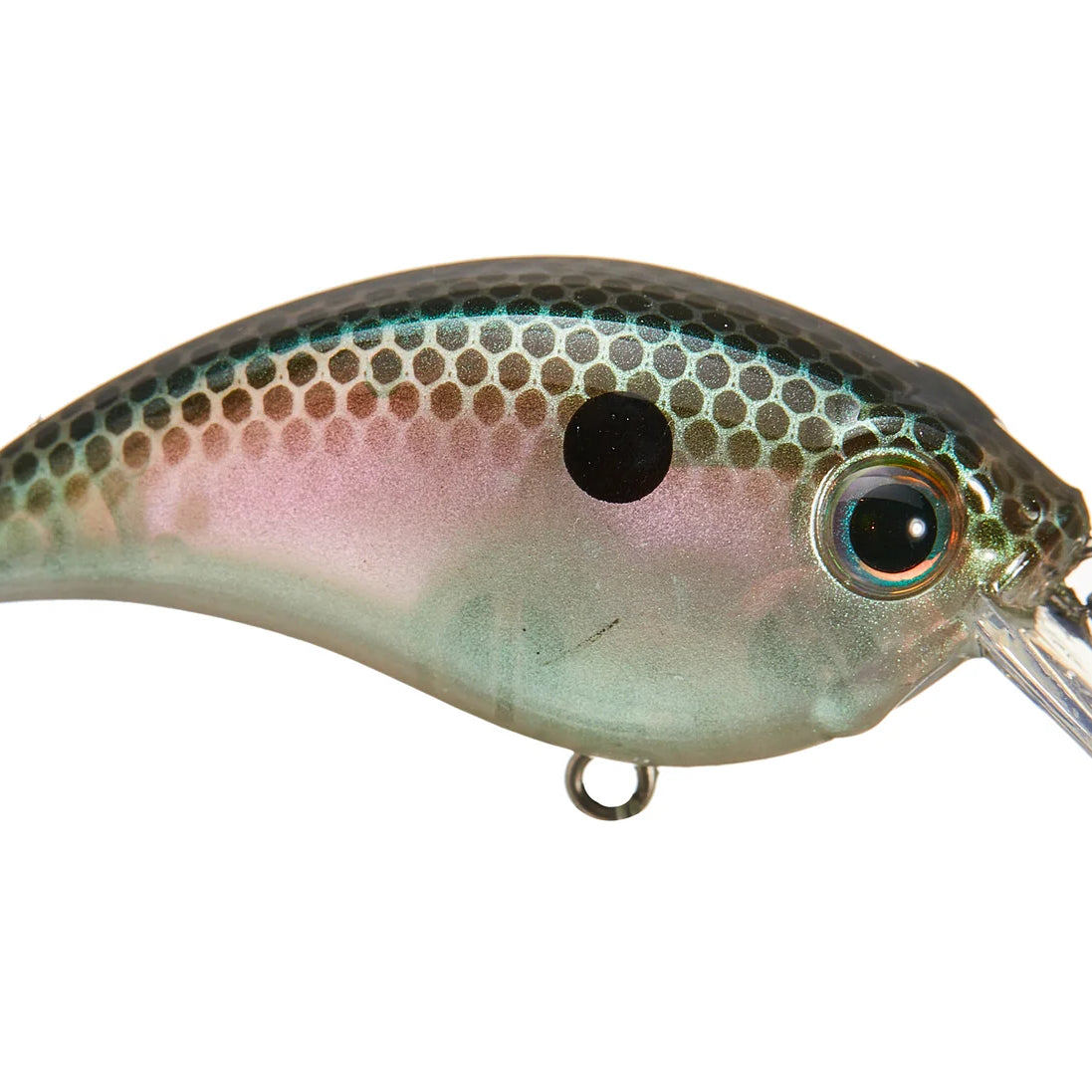 Bill Lewis ATV 1.0 Squarebill Crankbaits Green Gizzard