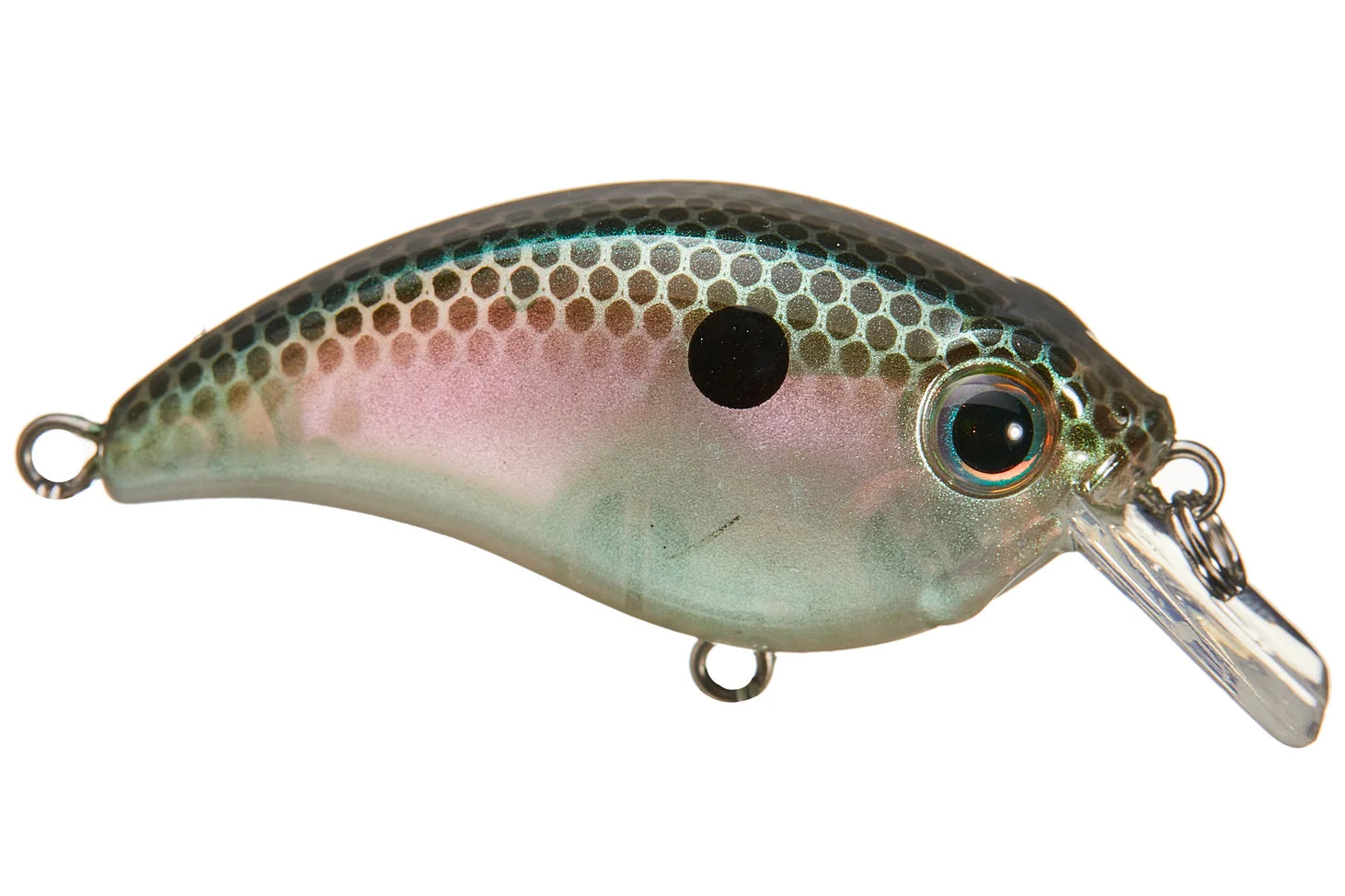 Bill Lewis ATV 1.0 Squarebill Crankbaits Green Gizzard
