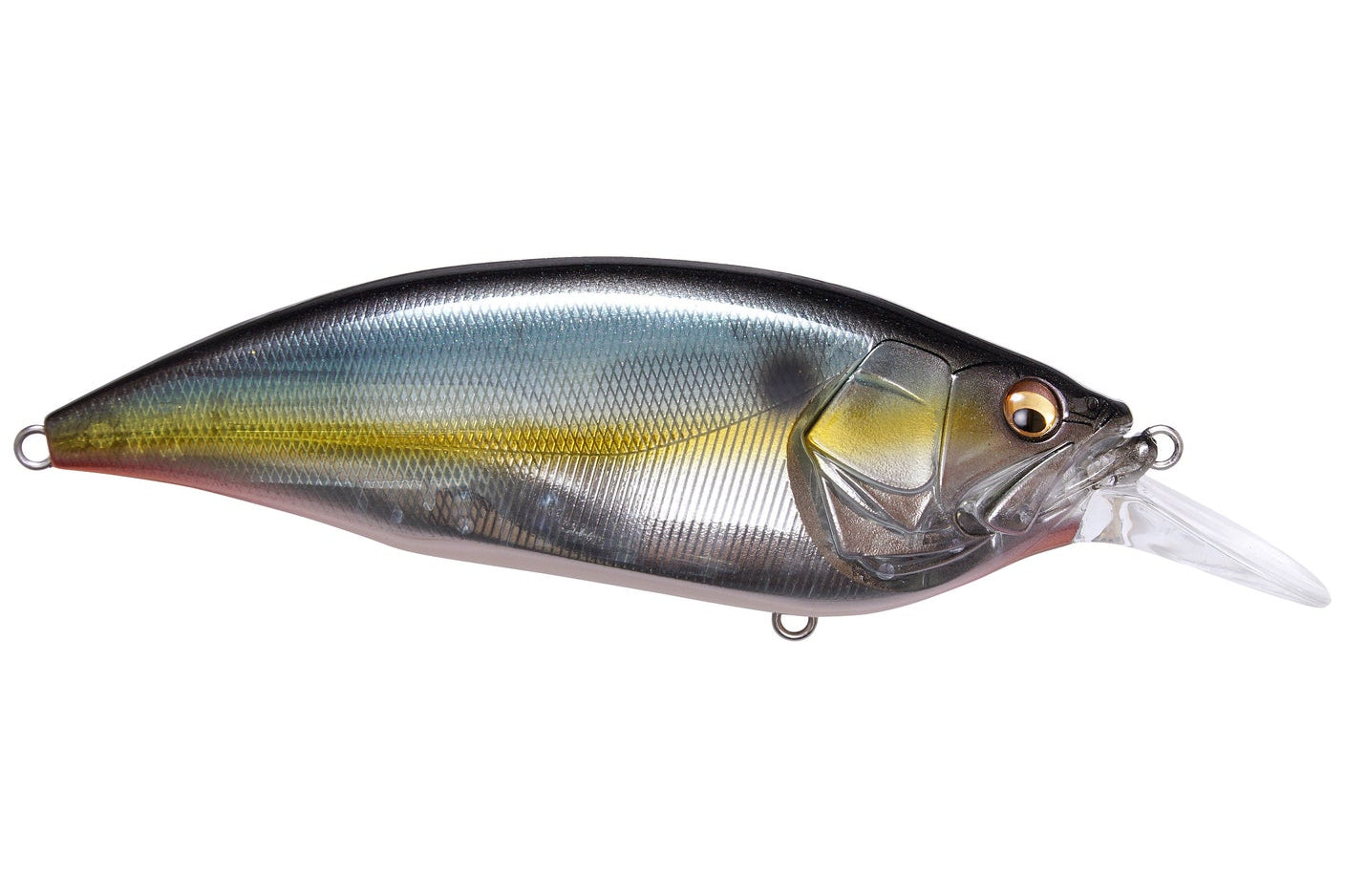 Megabass Big M 4.0 Crankbaits Jukucho Shad