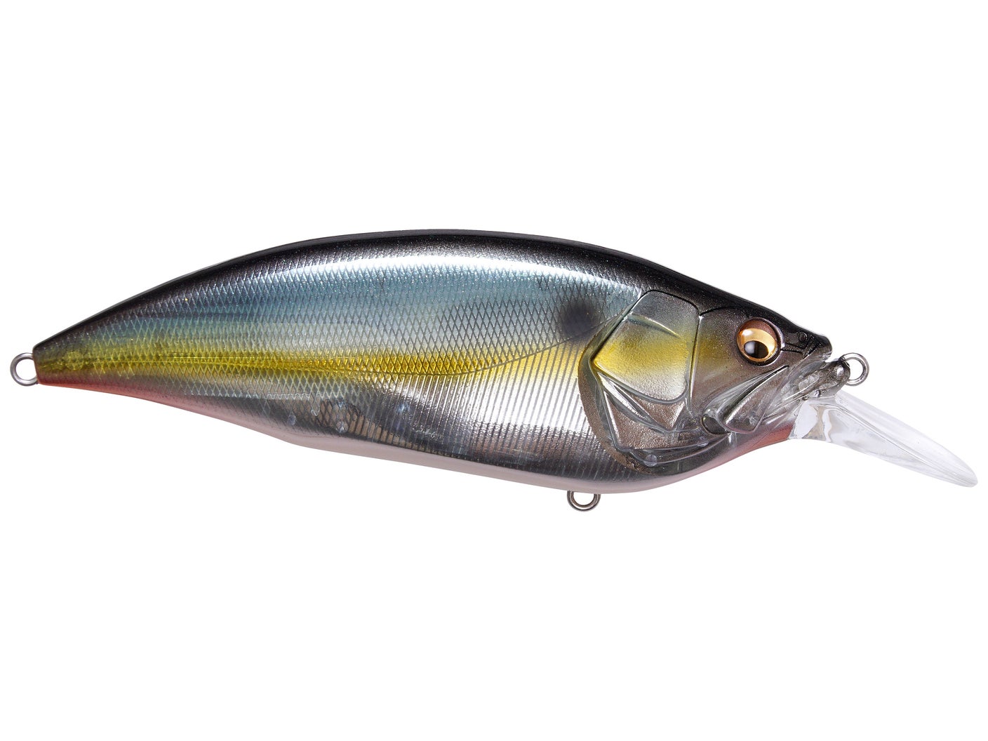 Megabass Big M 4.0 Crankbaits Jukucho Shad
