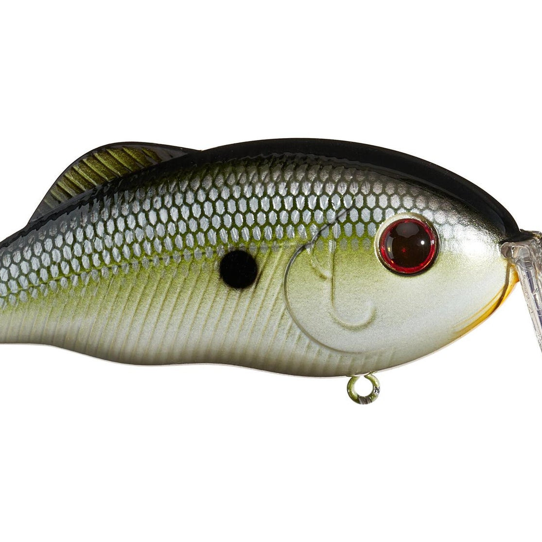 Strike King Hybrid Hunter Jr. Muh Knee Shad