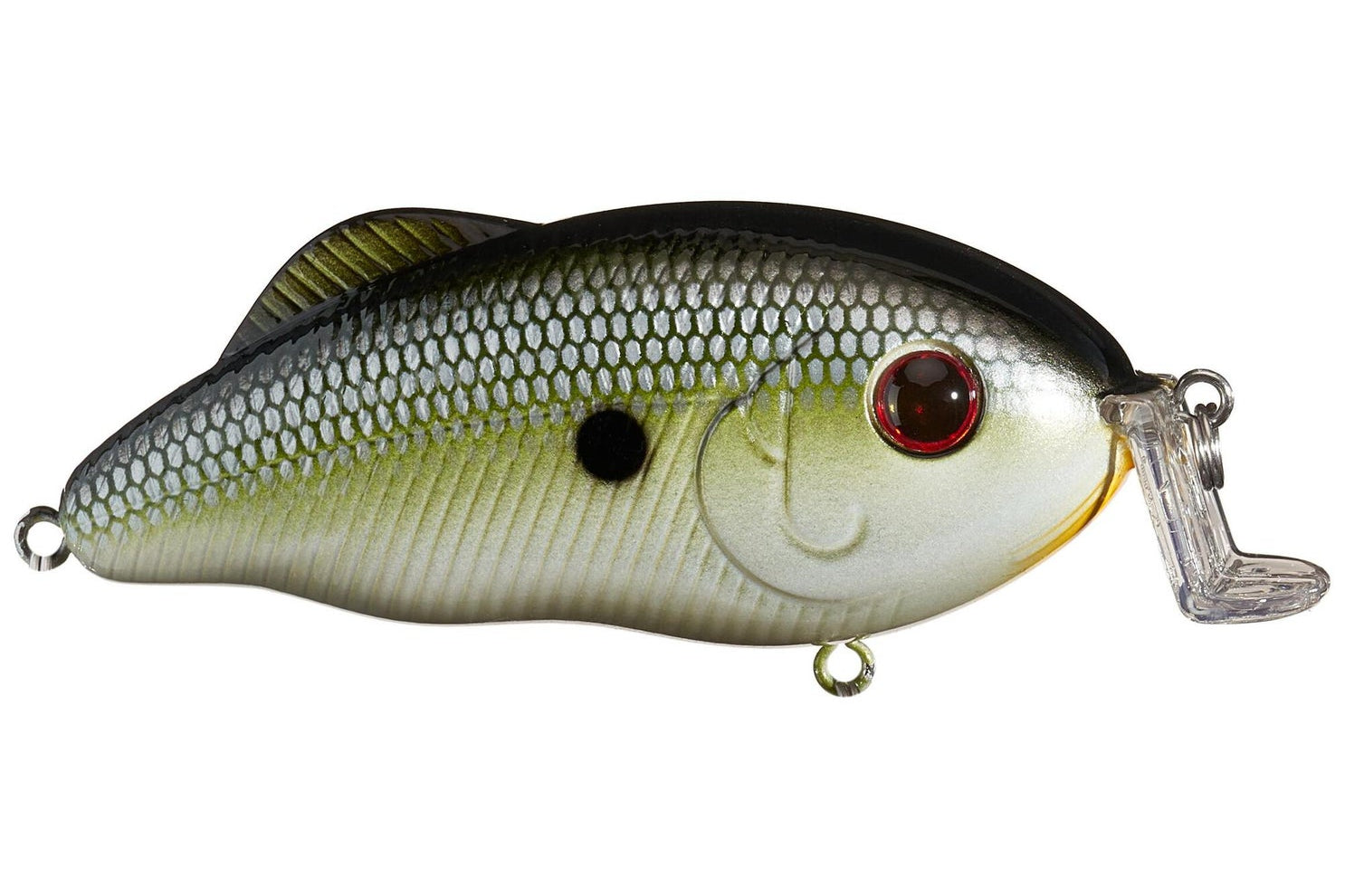 Strike King Hybrid Hunter Jr. Muh Knee Shad