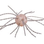 Strike King Tumbleweed Salted White Sauce