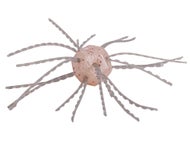 Strike King Tumbleweed Salted White Sauce