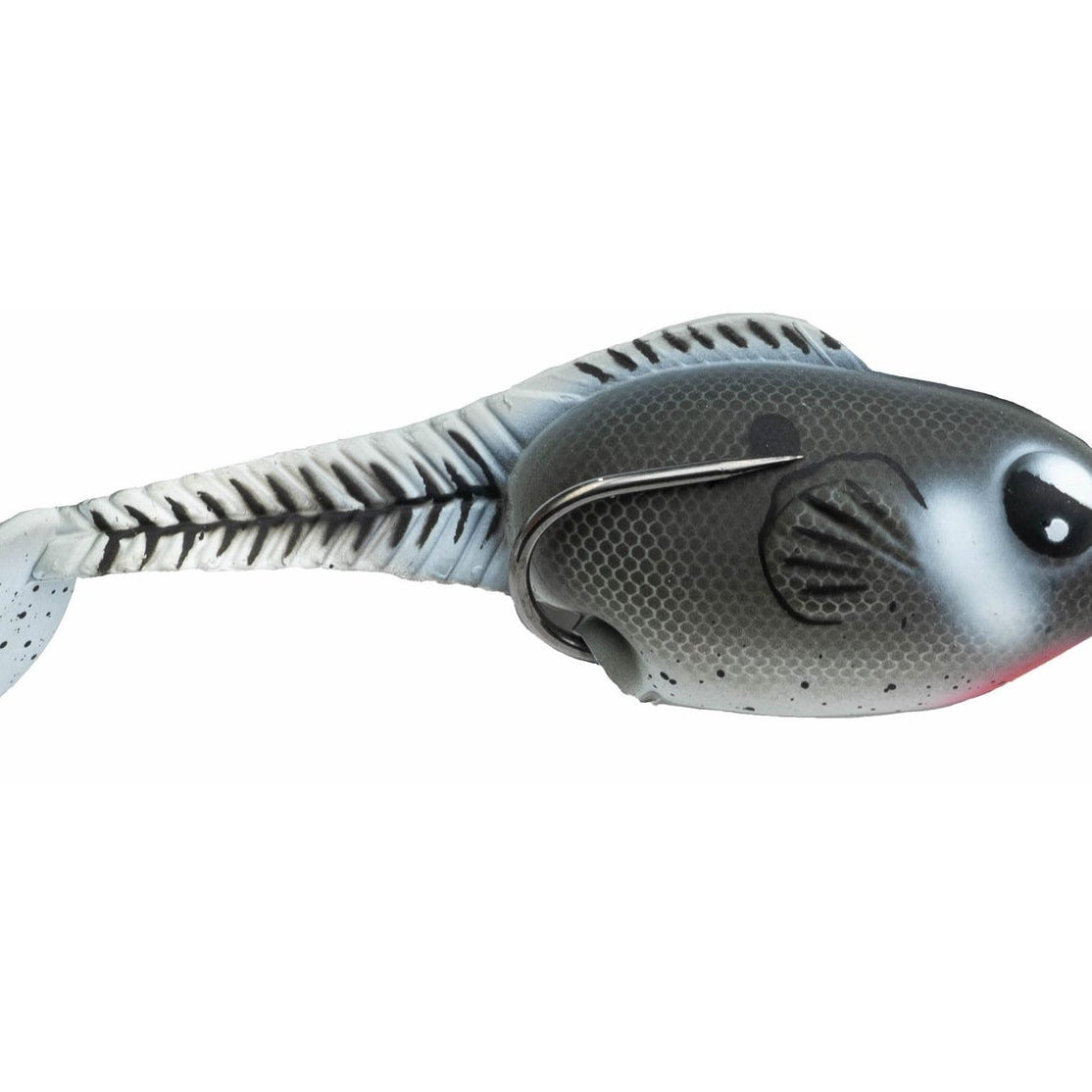 Snag Proof Zoo Wake Gizzard Shad