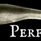 Double Z Lures Catch All Minnow 4" Perfect Shad