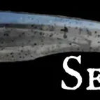 Double Z Lures Catch All Minnow 4" Secret