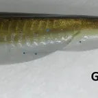 Double Z Lures Baby Swayback Swimmer 3.25"(D) Gizzard Shad