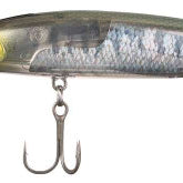 Shimano World Diver S Hasu