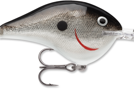 Rapala DT-14 Silver